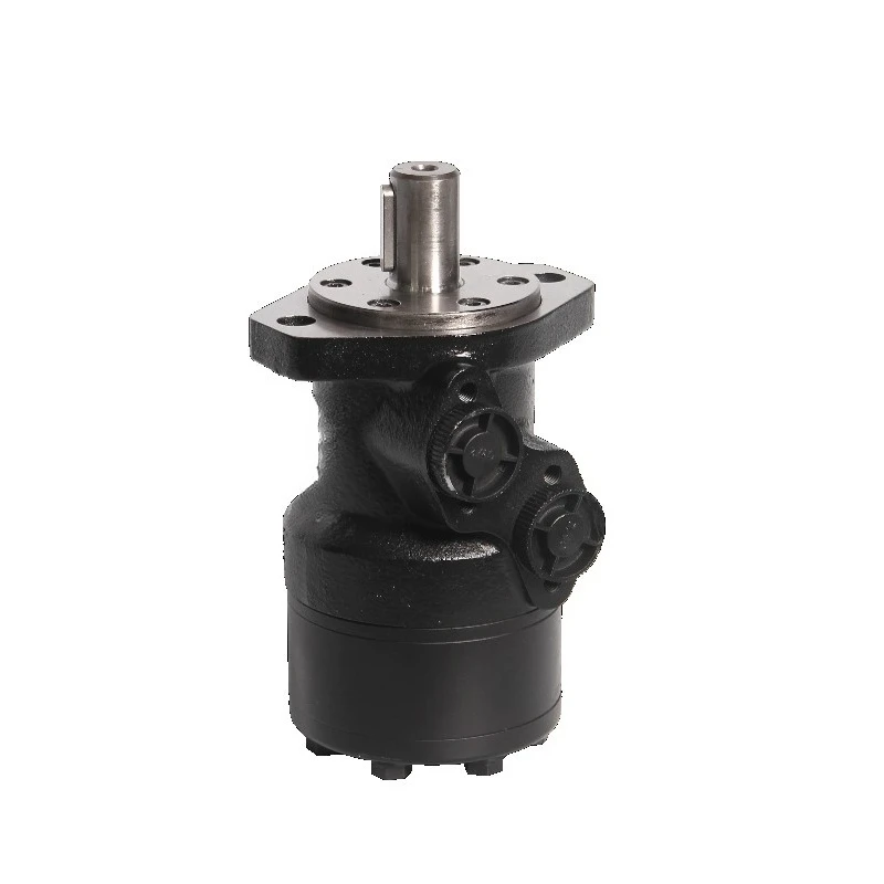 

Corrosion resistant hydraulic motor Long life hydraulic motor High precision hydraulic motor