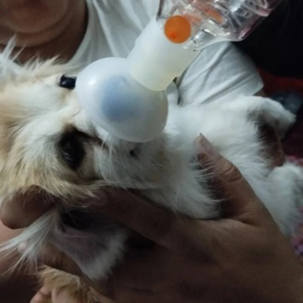 New Pet Feline Cat Dog Aerosol Chamber Tank Spacer Assist Inhalation Pump Nebulizer Manual Plastic Silicon Mask Animal Clinic