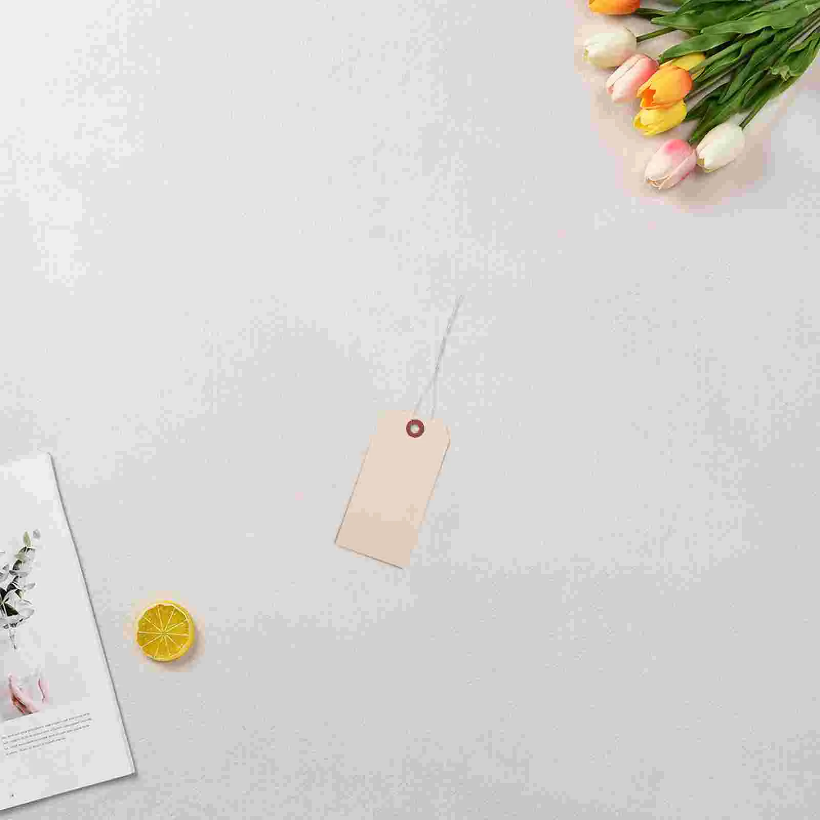 50pcs 배송 유선 태그 마닐라 태그 빈 태그 철 와이어로 포장 태그 포장용 마닐라 태그