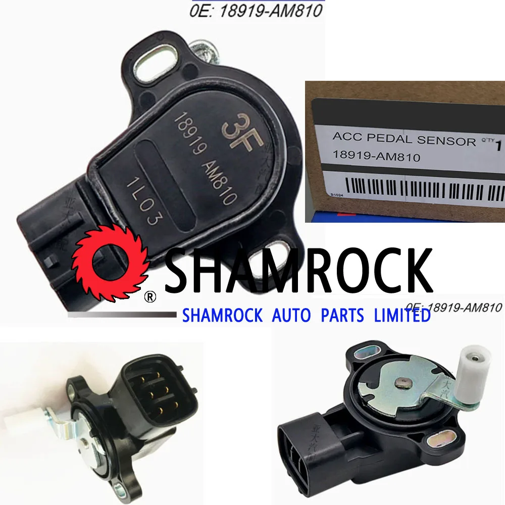 

18919-AM810 18919-6N201 18919-5Y700 TROTTLE POSITION SENSOR, ACCELERATOR PEDAL CONTROL FOR 18919AM810 189196N201 189195Y700