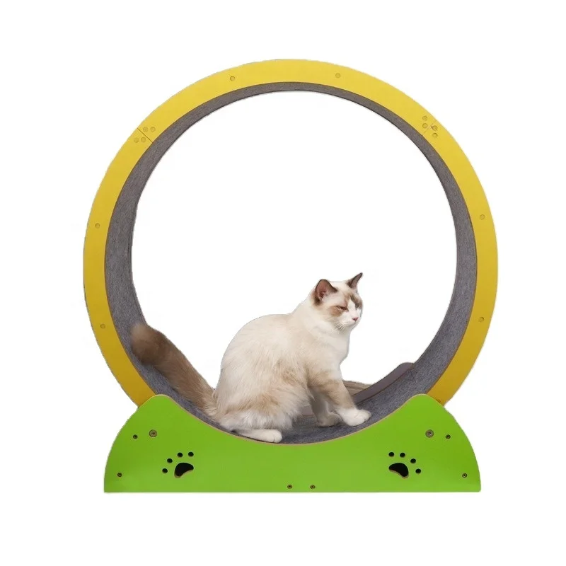 

New Release OEM&ODM Premium Quality Colorful Wooden Silent Cat Exercise Running Wheel Cat Wheel Treadmill For Large Cats