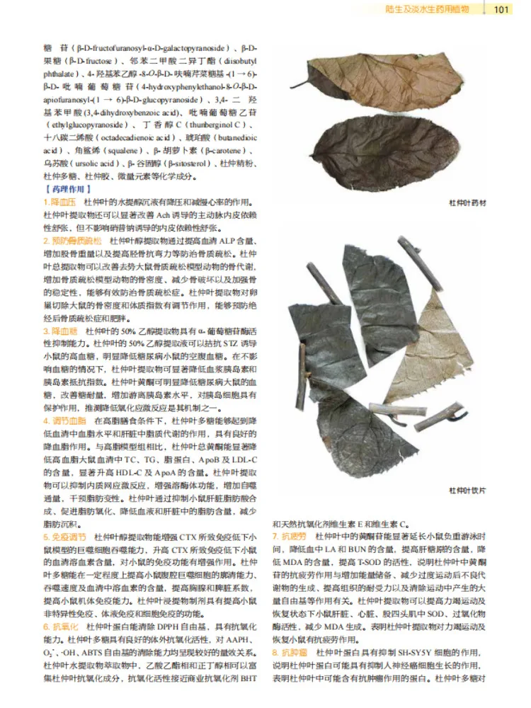 Book-Winshare Gui Ben Cao Volume 3 Upper and Lower Volumes