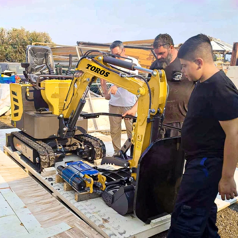 Miniescavadeira de 1 tonelada fabricante Kubota Engine Digger 1000 kg agrícola personalizável EURO 5 Miniescavadeira para venda