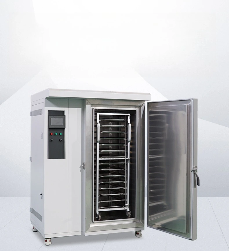 -196°C Mini Liquid Nitrogen Freezer - Ultra-Low Temperature Blast Freezer for Food Preservation & Commercial Use