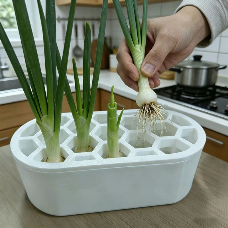 White Herb Start Box for Green Onion and Garlic, Indoor Water Garden Tray for Kitchen, Office or Dorm Counter Growing, 2 J0MC