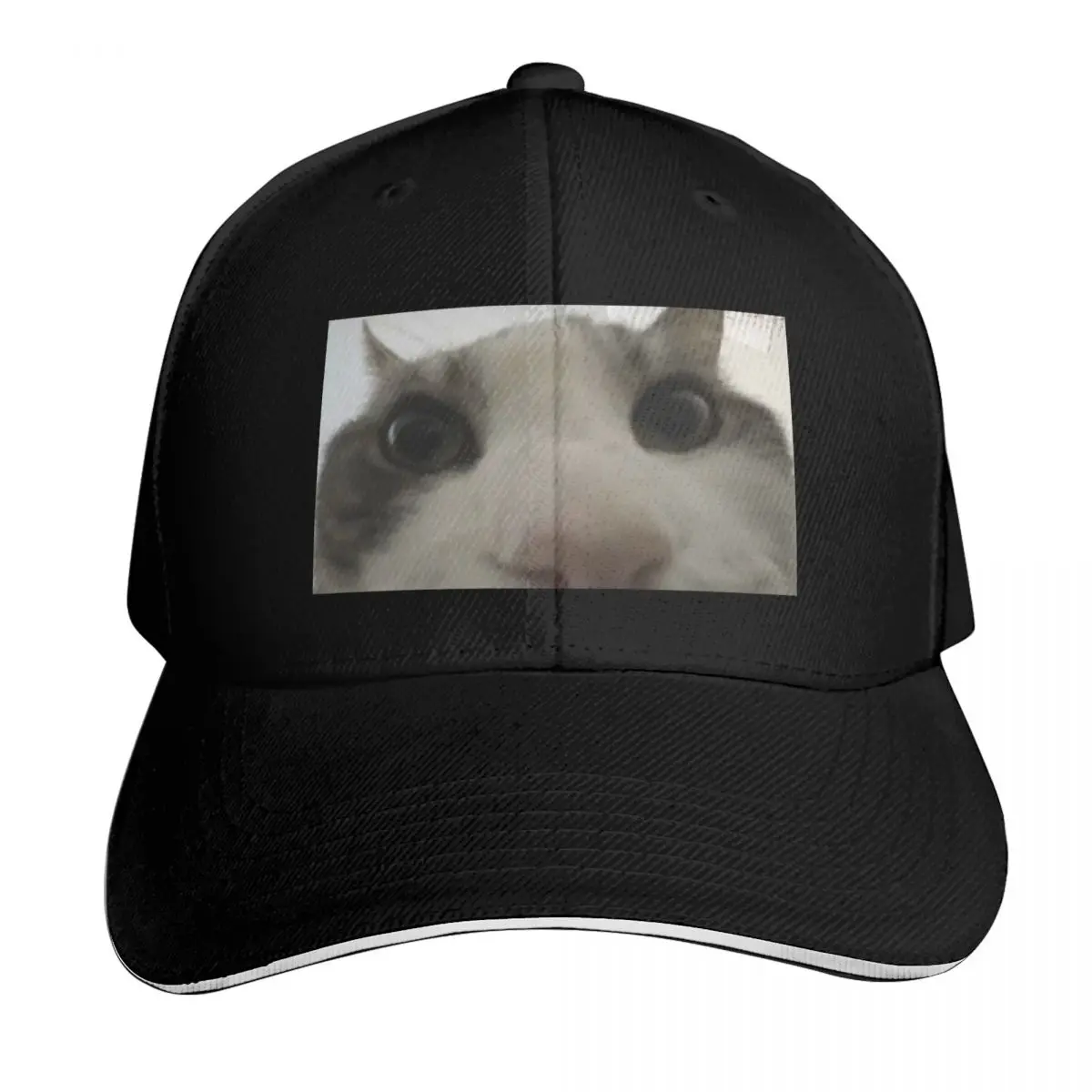 Cat looking inside box meme Baseball Cap party Hat Unique hats Sports Cap fun hats Hats Woman Men's