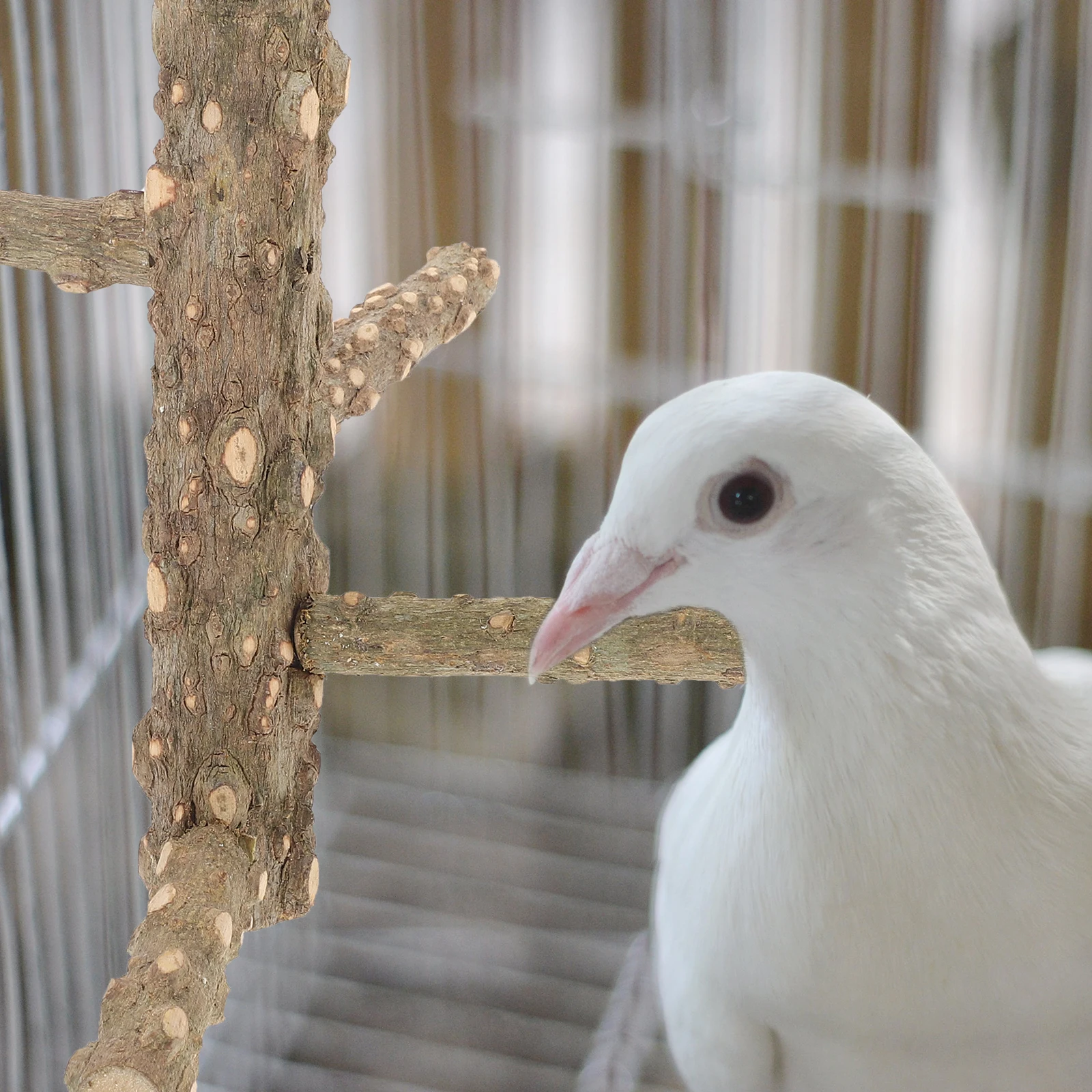 

Pepper Wood Parrot Perch Small Rotating Bird St Cage Toy Nail Grinder Wood Branches Parakeet Accessories Rest Exercise Playtime