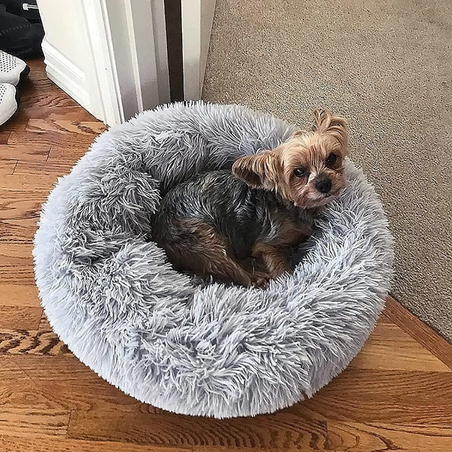 

Plush Pet Nest Warm Winter Cat Bed Dog Nest Warm Detachable and Washable Round Cat Nest Pet Bed Anti-Stress Bed for Dogs