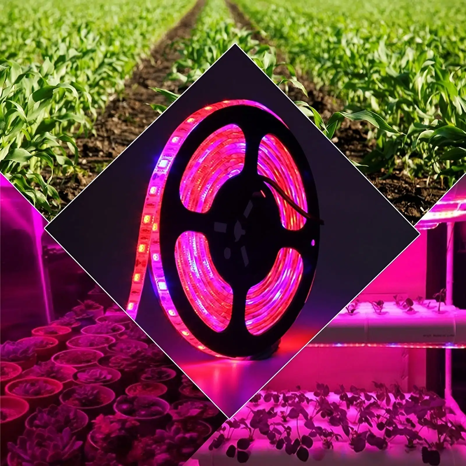 10M LED Grow Light Strips with USB, for All Stages of Plant Growth and Aquarium Greenhouse Hydroponic Plant, Garden Flowers