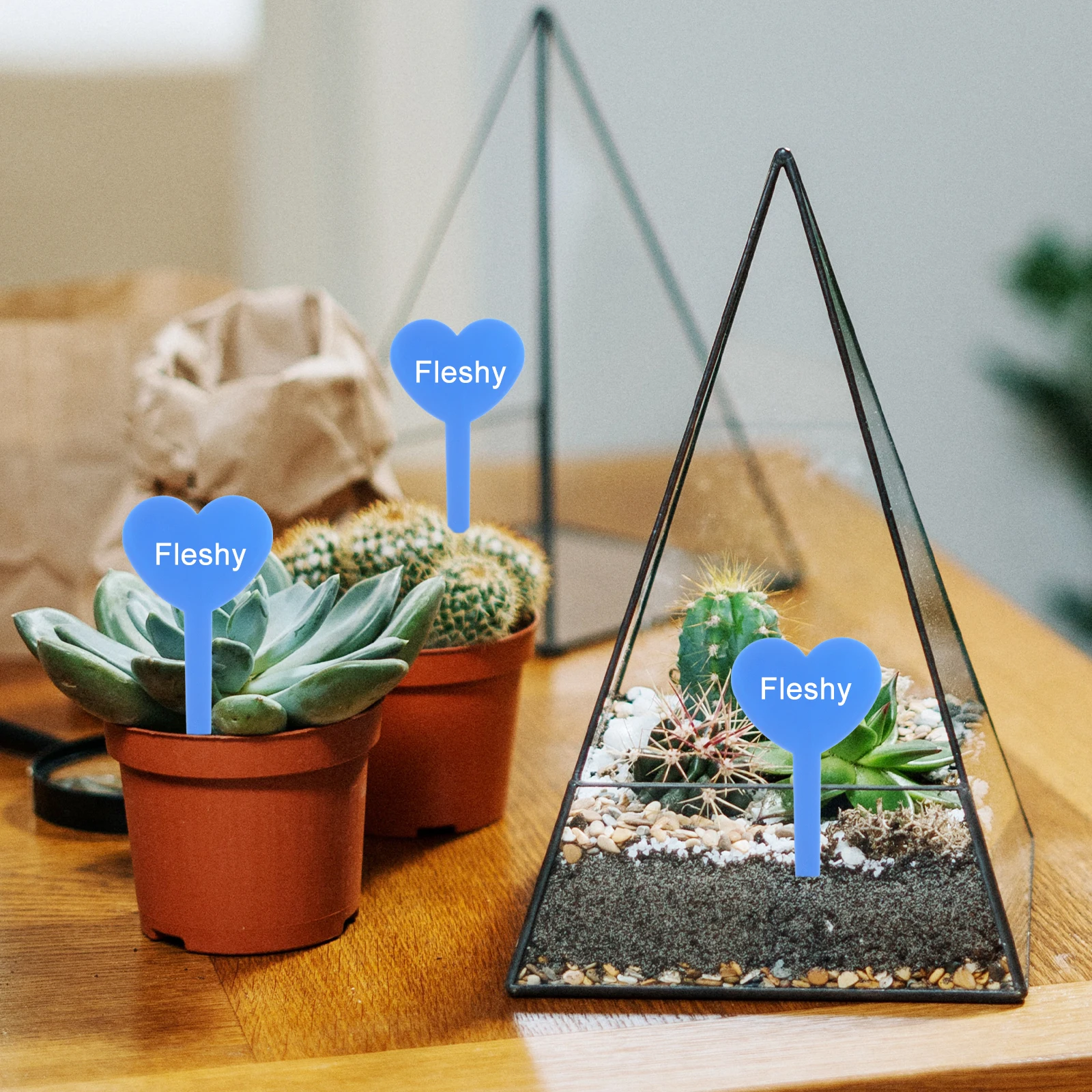 

100 Pcs Reusable Garden Marker Natural Durable Plant Label Decorative Heart Shape Double Sides Eco Friendly for Fruit
