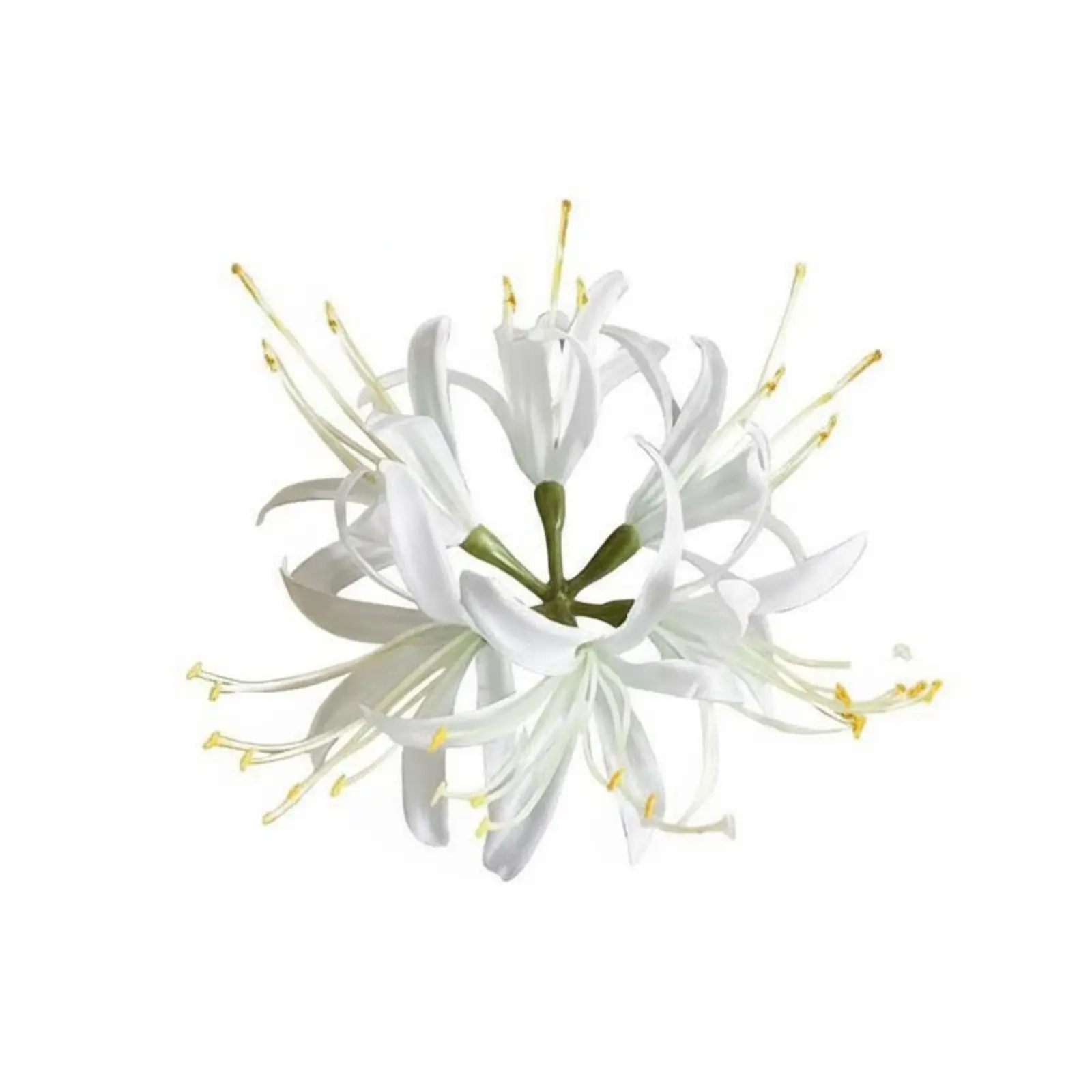 

Заколка для волос Lycoris Floret в китайском стиле, элегантный дизайн, азиатская тематика, для гостей свадеб, женщин, культурных мероприятий