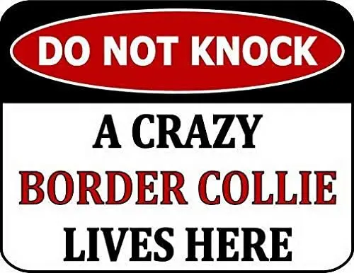 Do Not Knock A Crazy Border Collie Lives Here   Wall Art Metal Dog Sign