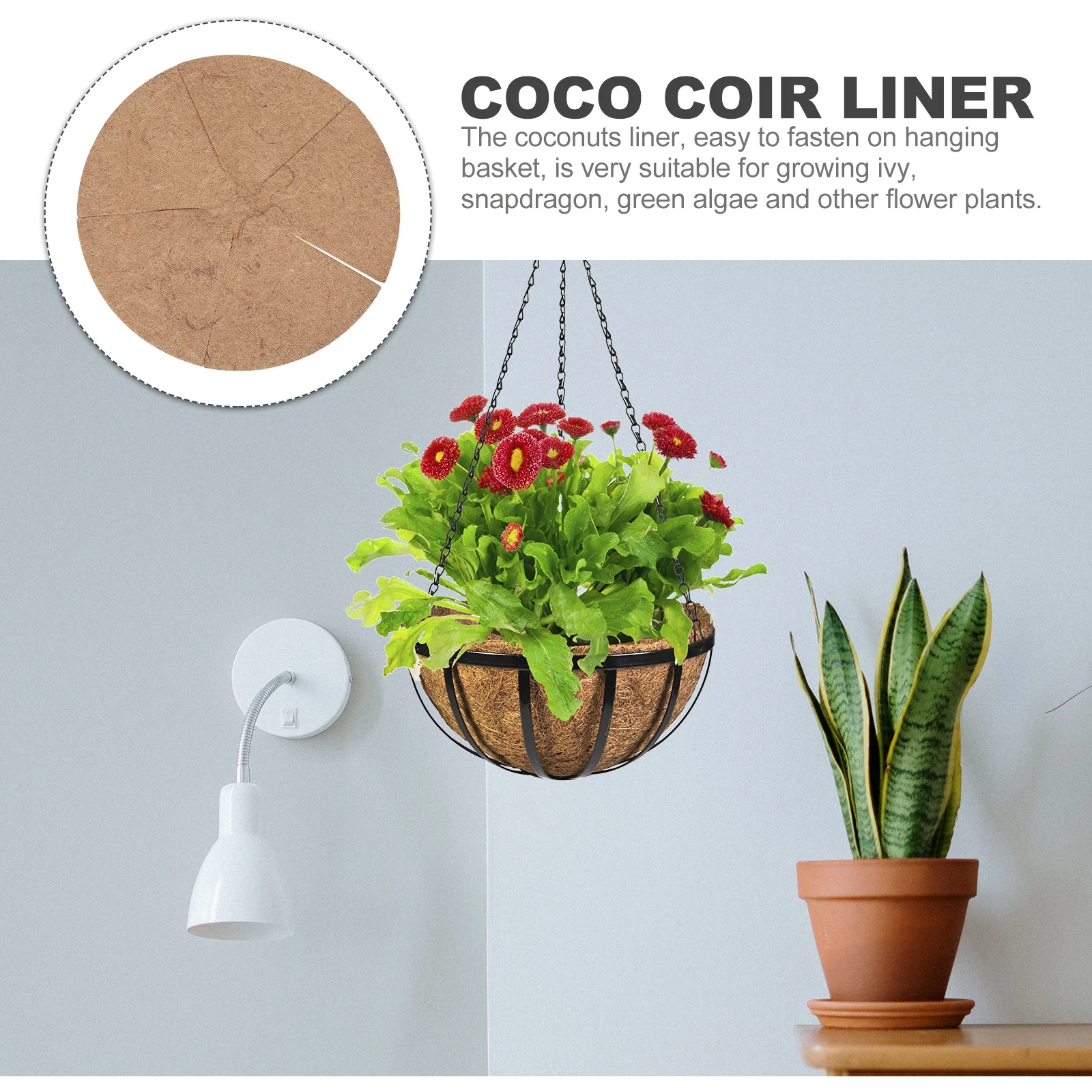 

Coir Flower Basket Liner Breathable Hydrophobic Plant Hanging Basket Replacement Liner for Spider Plant