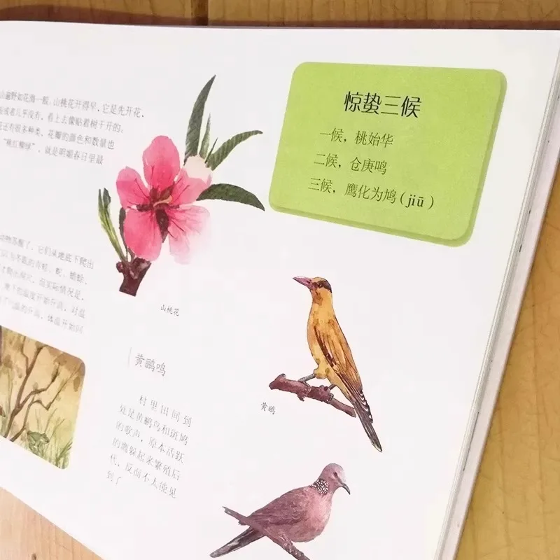 This Is The 24 Solar Terms of Natural Changes. Elementary School Students Read Popular Science Books Outside of Class