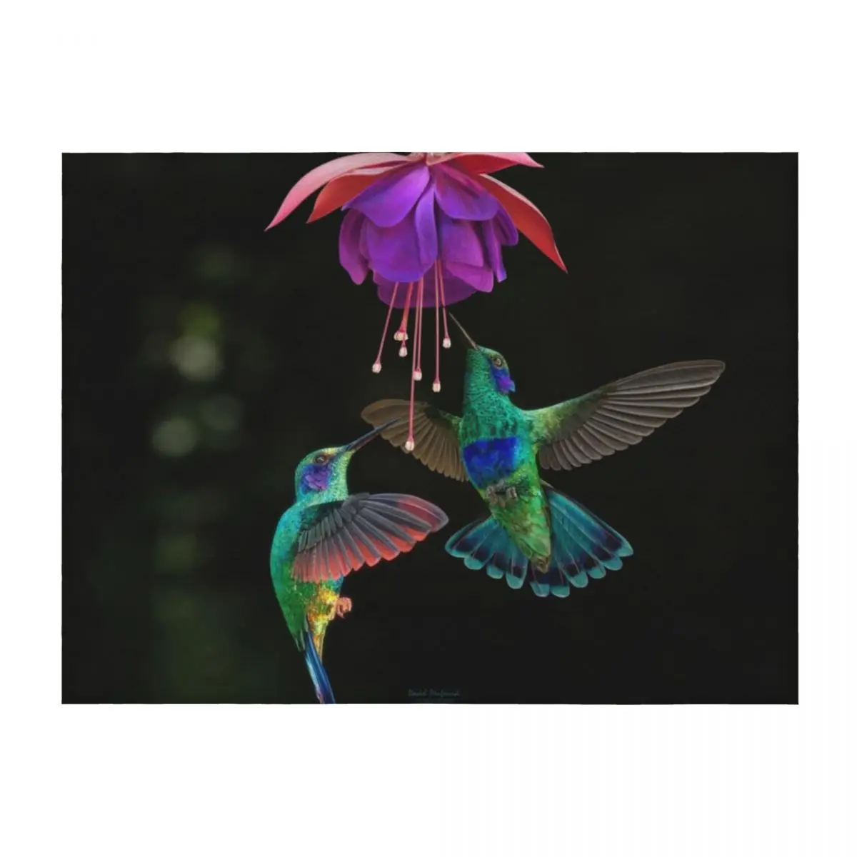 

Hummingbird pair Throw Blanket Beautifuls Cute Thins Hairys Blankets