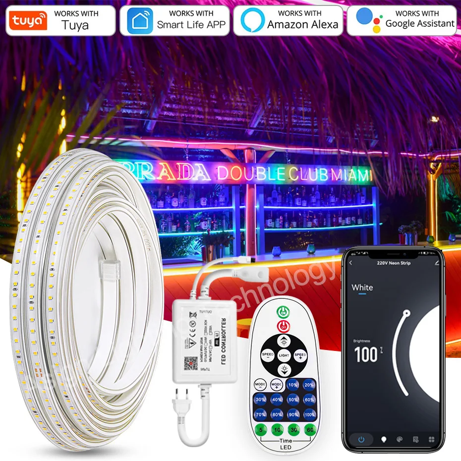 Tuya Smart LED Strip Lights Outdoor Waterproof 220V 2835 120LEDs/m Flexible Tape High Brightness Strip Bluetooth Remote Control