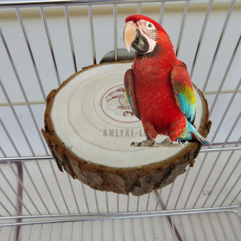 Round Wooden Squirrel Parrot Bird Perch Stand Platform Pet Bird Squirrel Chinchilla Parrot Wooden Pier Diving Platform