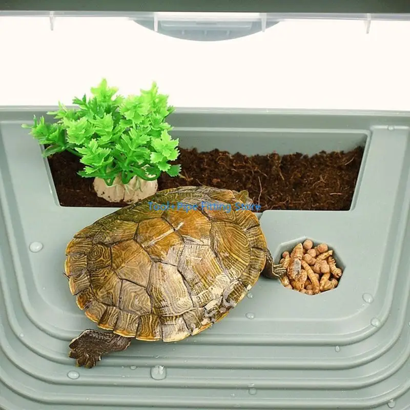 F92B for Tank Anti-Escape House with Basking Slope Swimming Pool Feeding Area