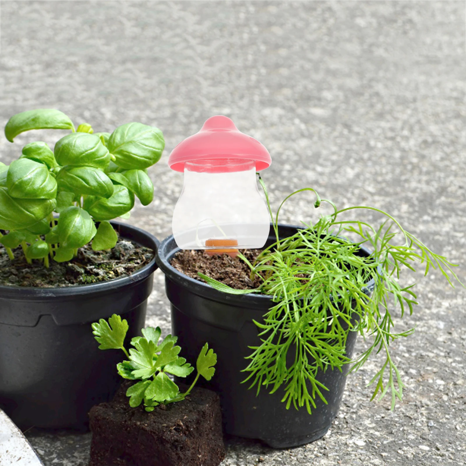 

Self Watering Irrigator Automatic Dripper for Indoor Outdoor Plants Easy to Use Long Watering Time Eliminate Worry of Water