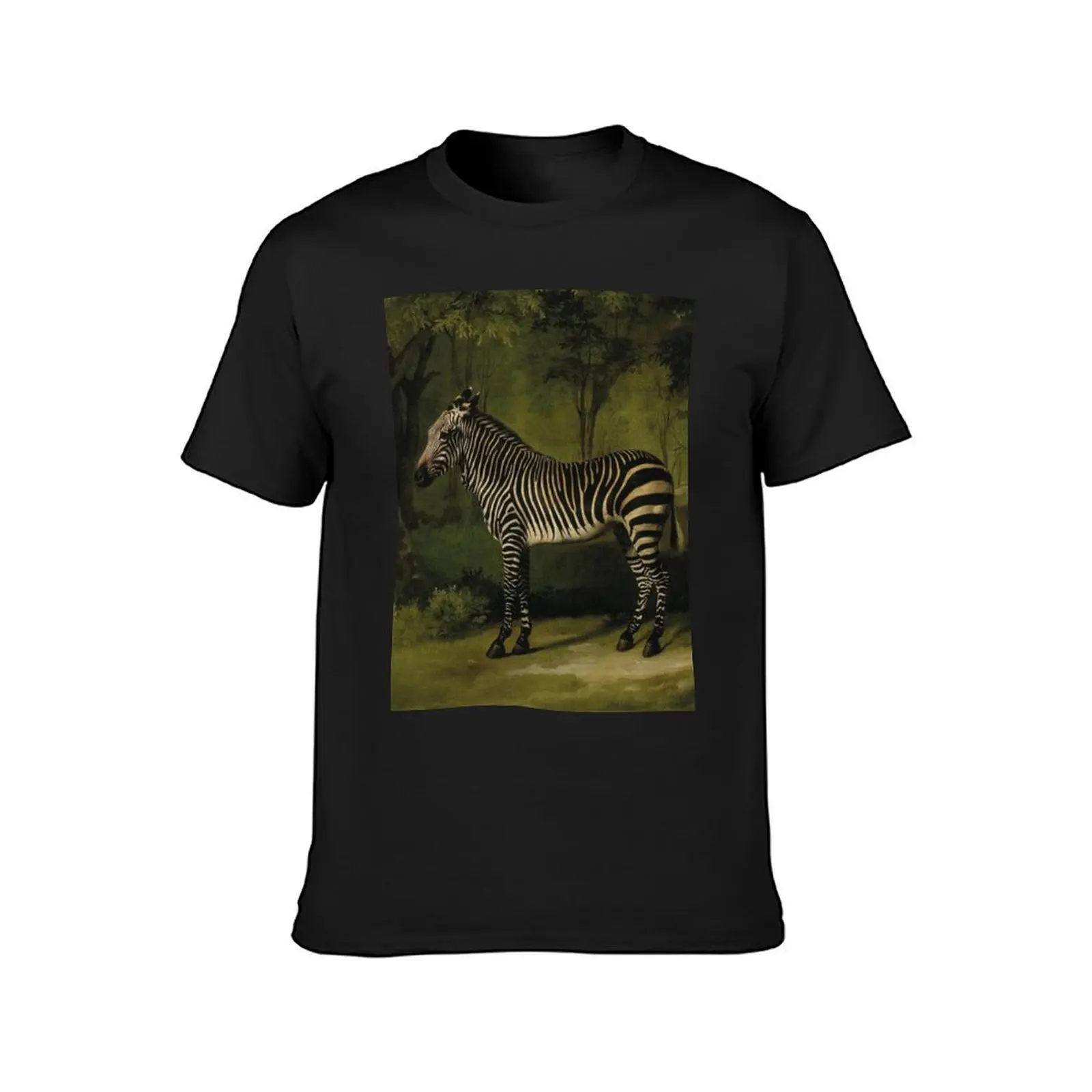 Zebra by George Stubbs T-Shirt oversizeds Short sleeve tee for a boy t shirt for men