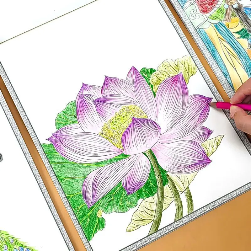 Large Drawing of Blank Sketches, Meticulous Brushwork, Zero Foundation Copying, Pen Control Training