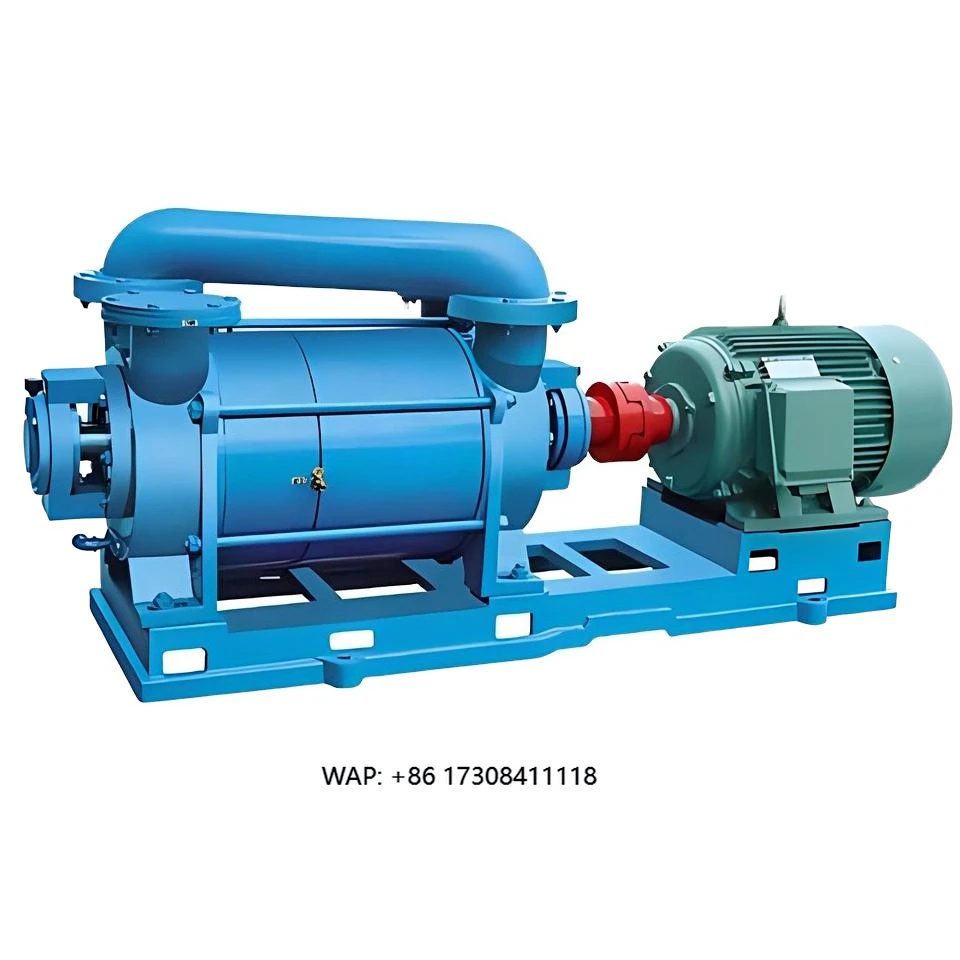 

High Quality Single Water Ring Vacuum Pump 7.5 Low Direct Sales for Theoretical Chemical Petroleum Pharmaceutical Industries