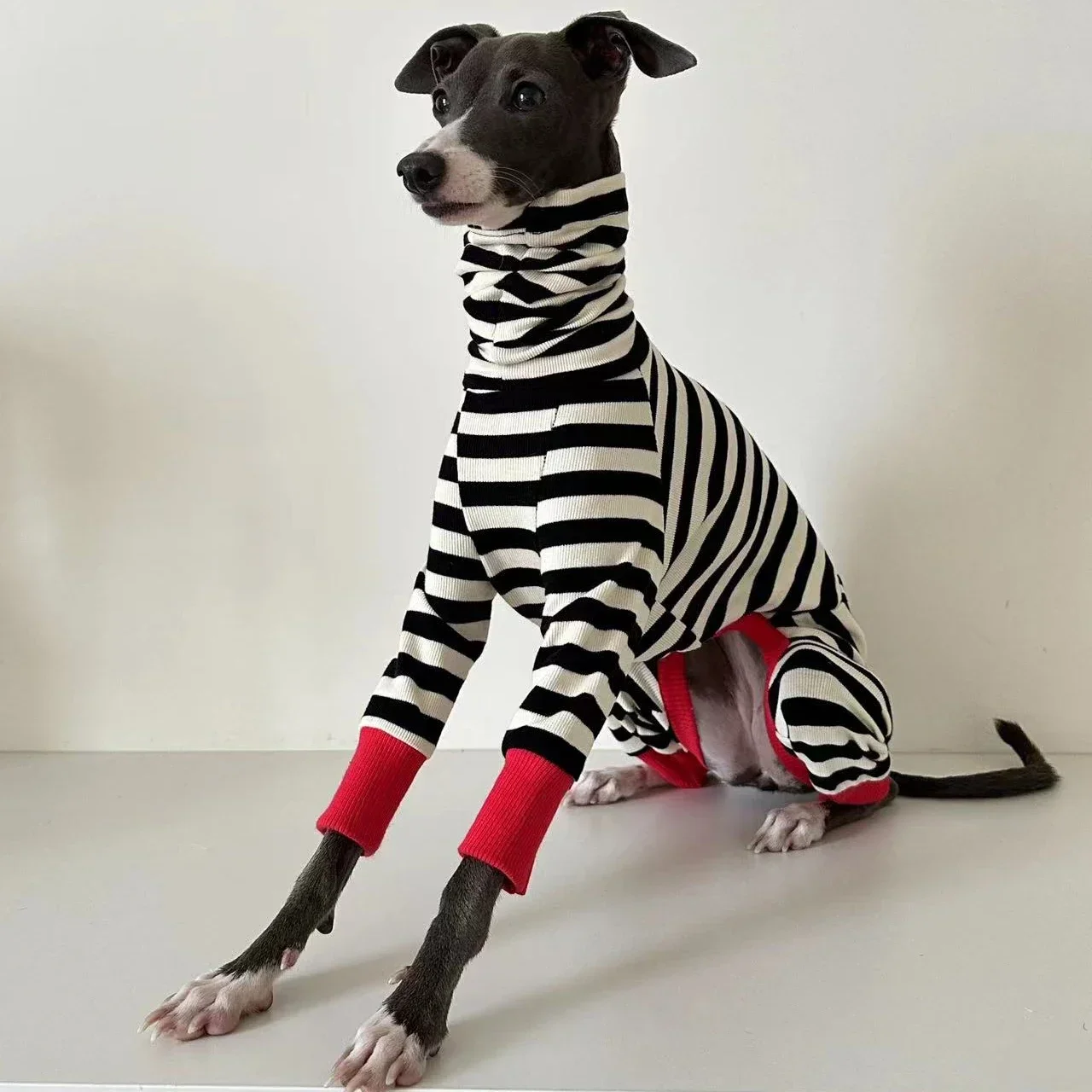 Italian greyhound striped four-legged clothing soft stretchy whippet clothing winter warm dog clothing