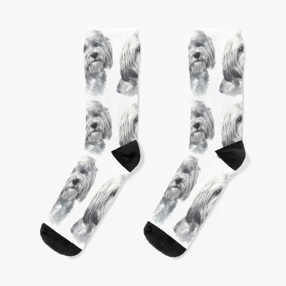 Cute White Havanese Watercolor Art Socks kids luxury gym Male Socks Women's