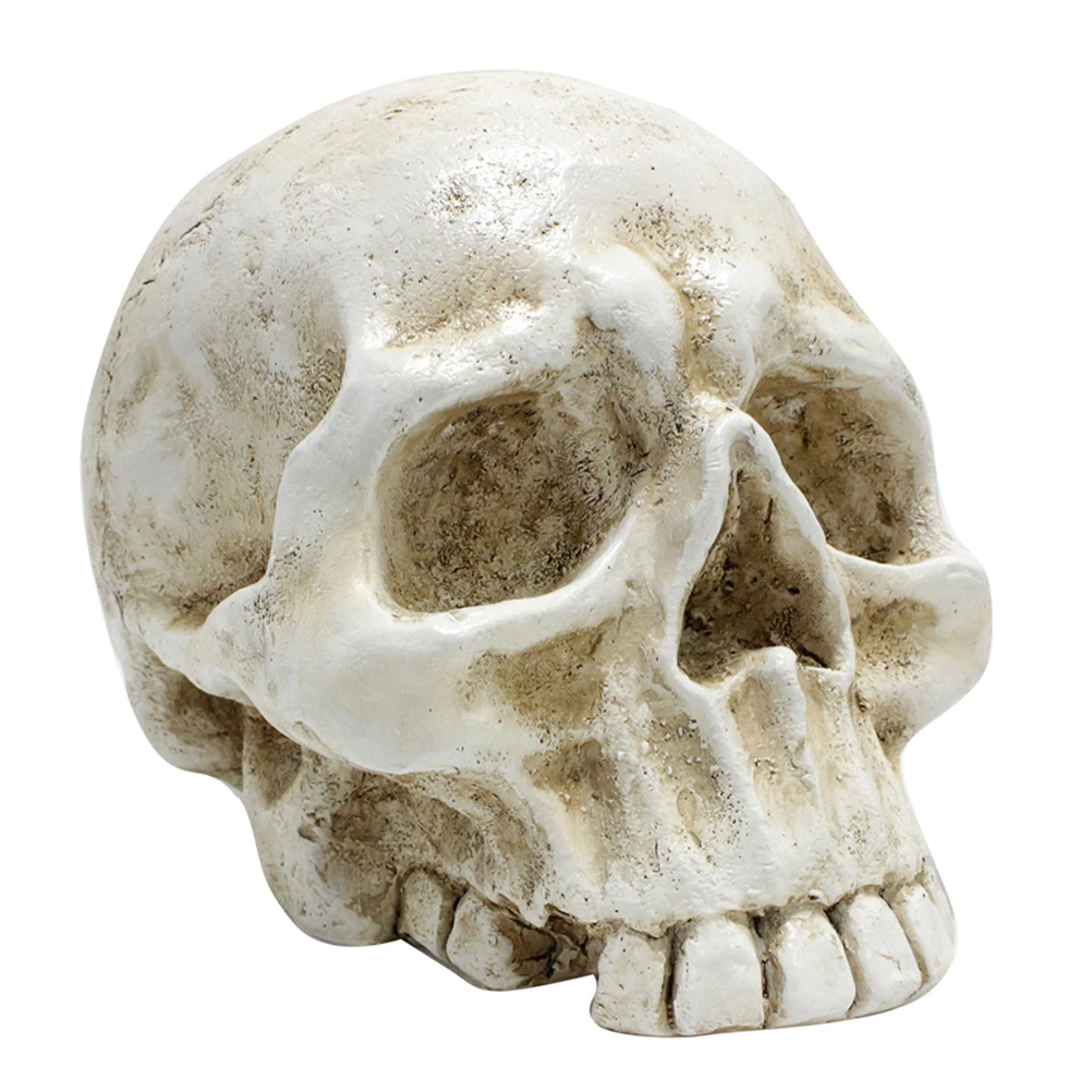 

Halloween Realistic Resin Skull Fake Scary Skull Decoration Craft Party Prop Haunted House Desktop Ornament Ghost