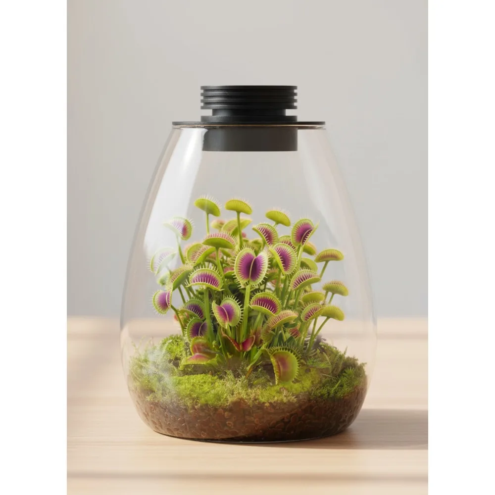

Glass Terrarium with LED Grow Light for Succulents, Moss, Betta Fish Tank, Mini Garden, Home Office Decor