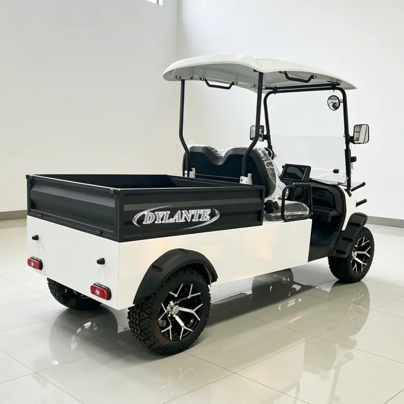 Manufacturer Customized Golf Cart 4 Wheels Passenger Passenger 4 6 Seater Small Electric Golf Buggy with Cargo Box
