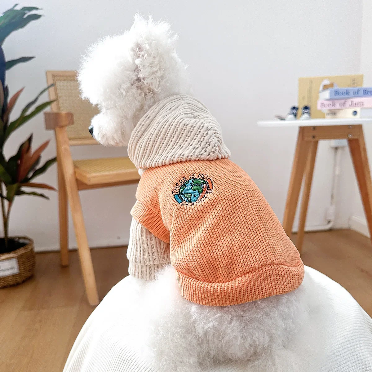 Pet Color Blocking Hoodie Puppy/cat Drawstring Undershirt Pet Hooded Hoodie Dog Clothes for Small Dogs Puppy Clothes Small Dogs