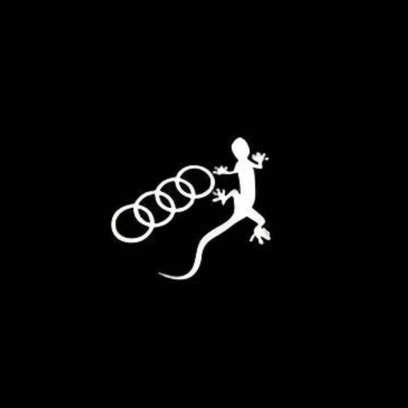 OOOO lizard