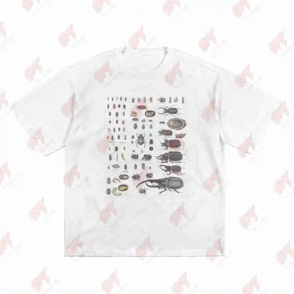 Insect Collection Species Bugs Vintage Chart Entomology Short Sleeve Tee 100% Cotton T-Shirt