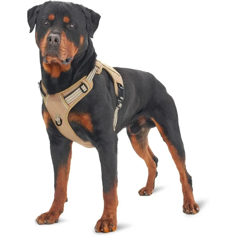 #23 Latest Reflective Dog Leash Offers