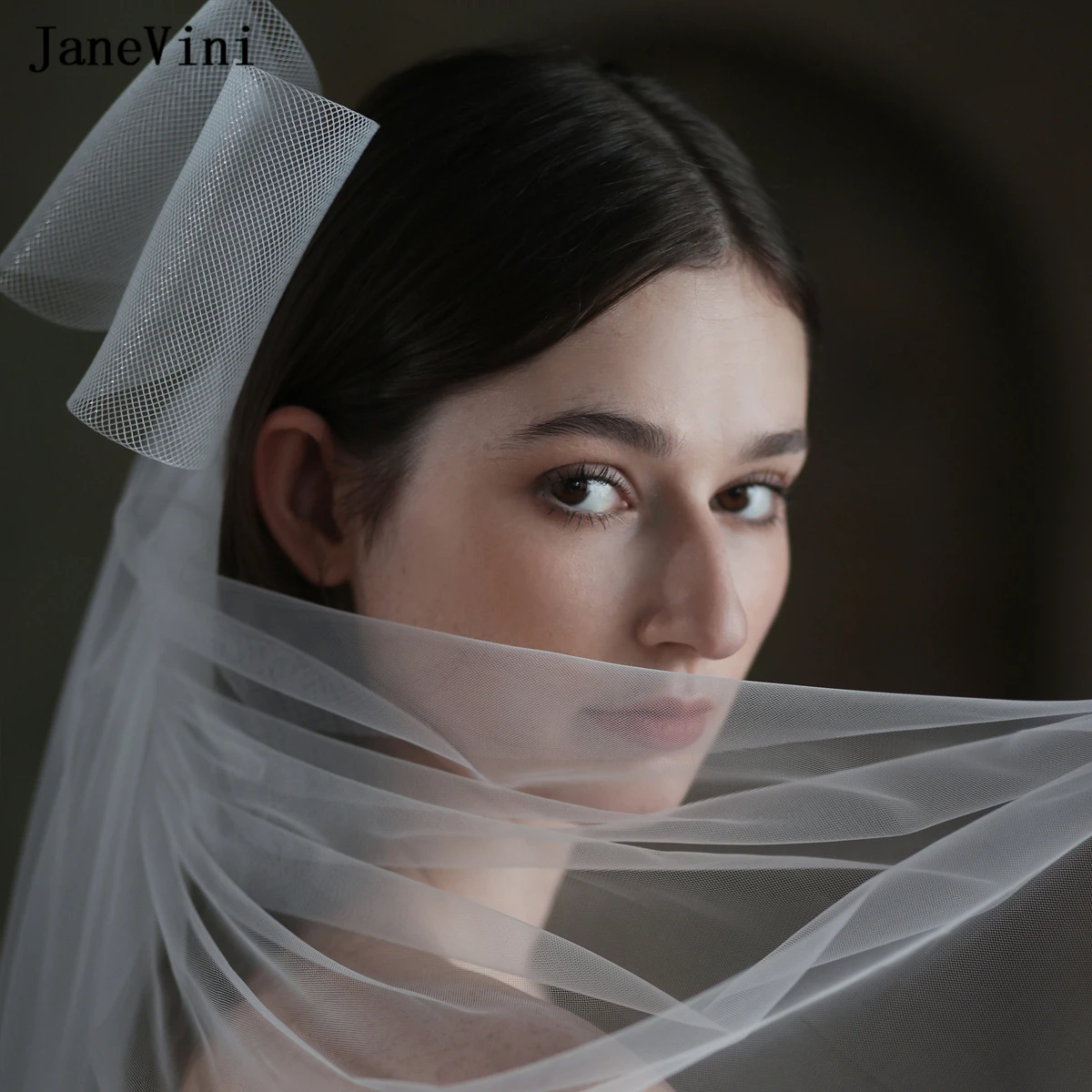 JaneVini 2023 Elegant Korean Bridal Bow Veils White Veil Hairpins Women Two Layers Mesh Bow Hair Clips Bride Wedding Accessories