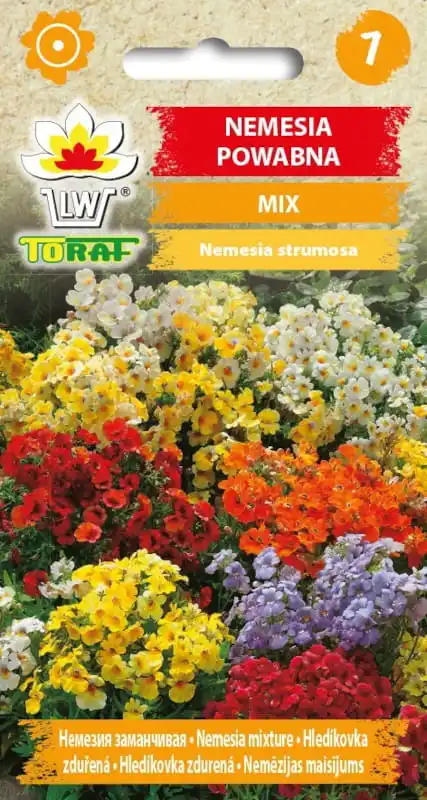Nemesia buen mezcla de semillas de flores para flores de terraza de hogar y jardín