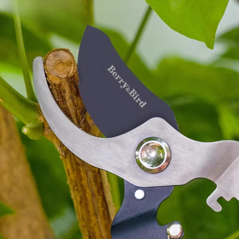 Home Gardening Pruning, Pruning, Bonsai, Flower Shaping, Thick Branches, Labor-saving Garden, Fruit Tree Pruning