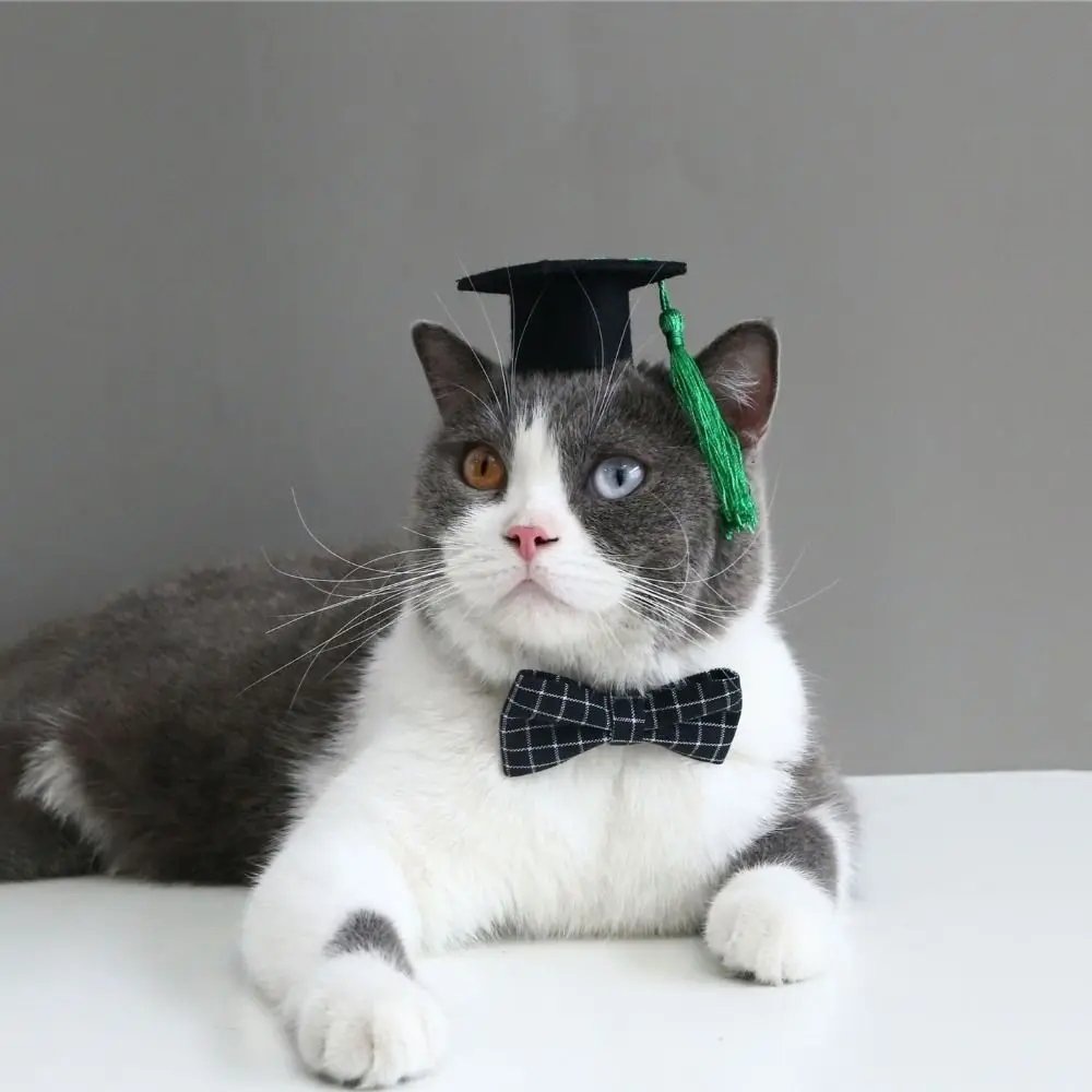 Felt Cat Graduation Cap Pet Accessories Adjustable With Tassel Dog Dr. Hat Elastic Dog Degree Hat Cosplay Party