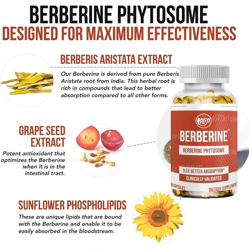Optimize Phospholipid Complex | Supports Metabolism, Non GMO, Soy Free, 60 Capsules