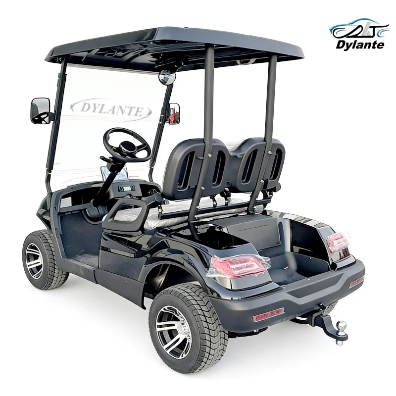 

Новейший дизайн, модный, усовершенствованный, многофункциональный электрический гольф-кар/багги для охоты на 2, 4, 6 мест, 5000 Вт, 48/60/72 В