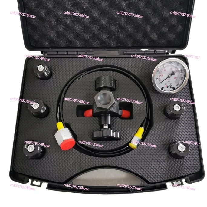 

Hydraulic Accumulator Cylinder Nitrogen Gas Charging Kit and Pressure Test Kit