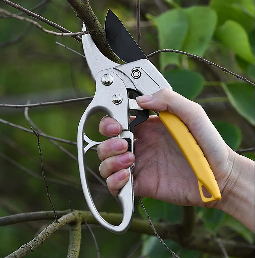 

Garden clippers,Ratcheting pruning shears,Work 3 times easier,Premium Bypass Pruning Shears,Garden clippers,Gardening Scissors