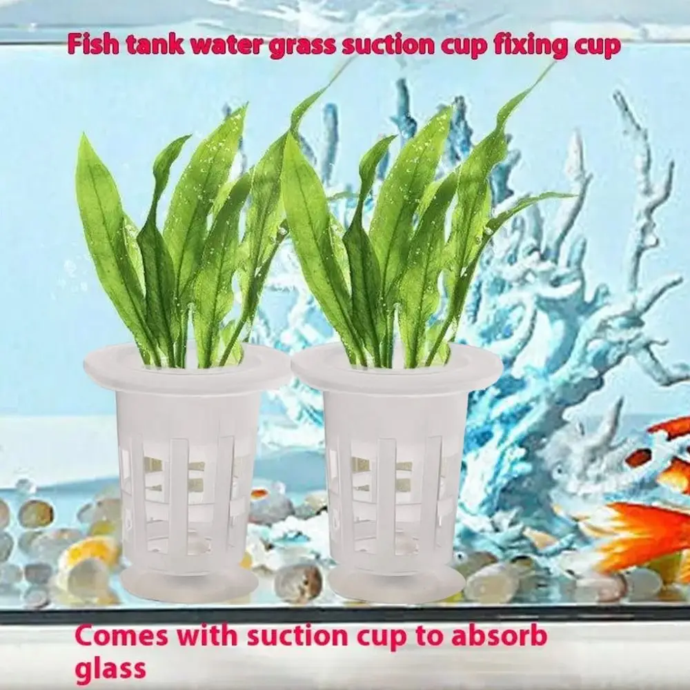 10Pcs Transparent Plant Hydroponic Pot Plastic with Suction Base Water Grass Growth Pots Aquarium Planting Cups
