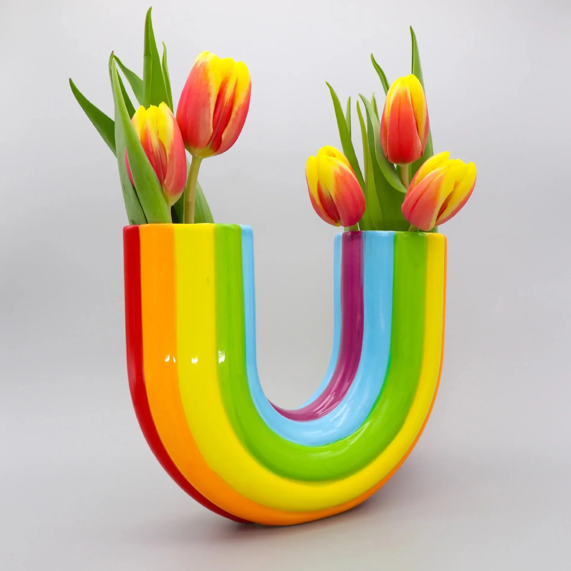 Creative Rainbow U Shape Vase Dried Flower Vase Resin Arrangement Planter Flowerpot Home Decor Modern Simple Aesthetic Ornaments