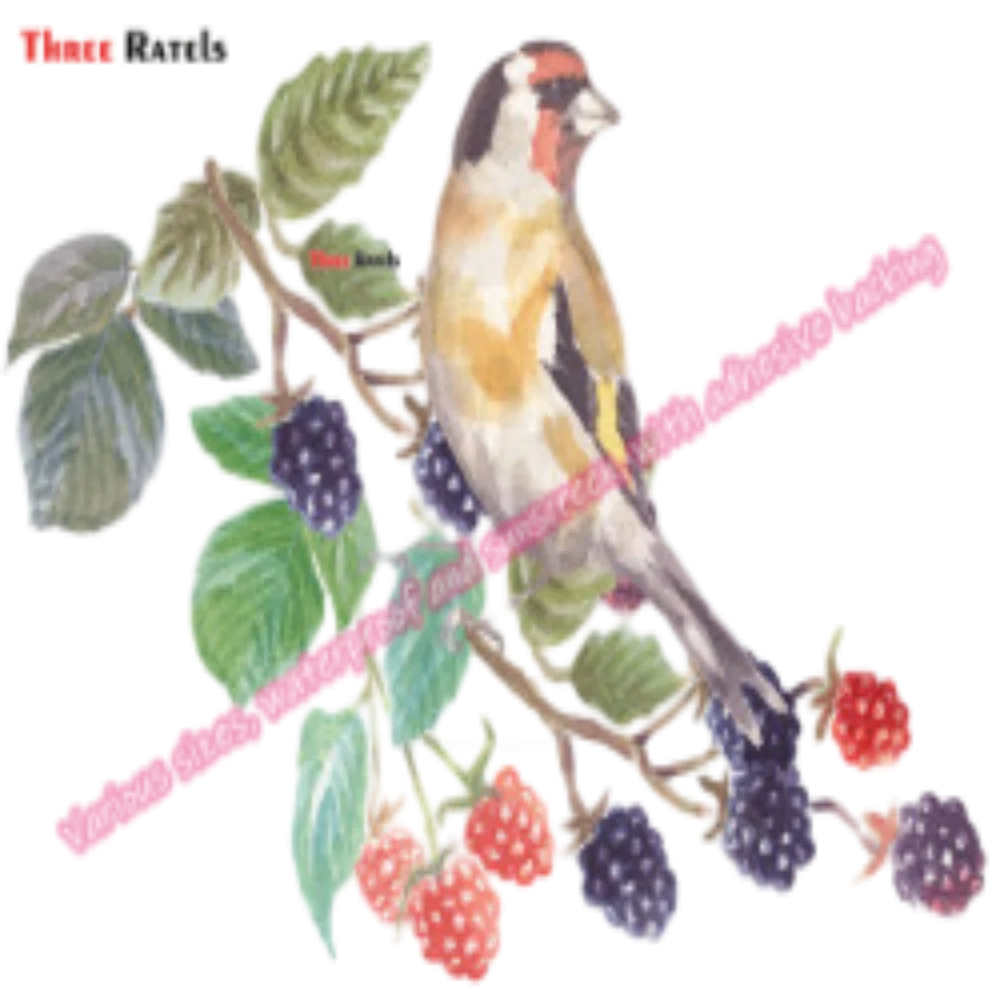 Three Ratels M845 Fresh Fruit Stickers and Decals Wall Art Stickers Home Decoration Waterproof Decals Deco