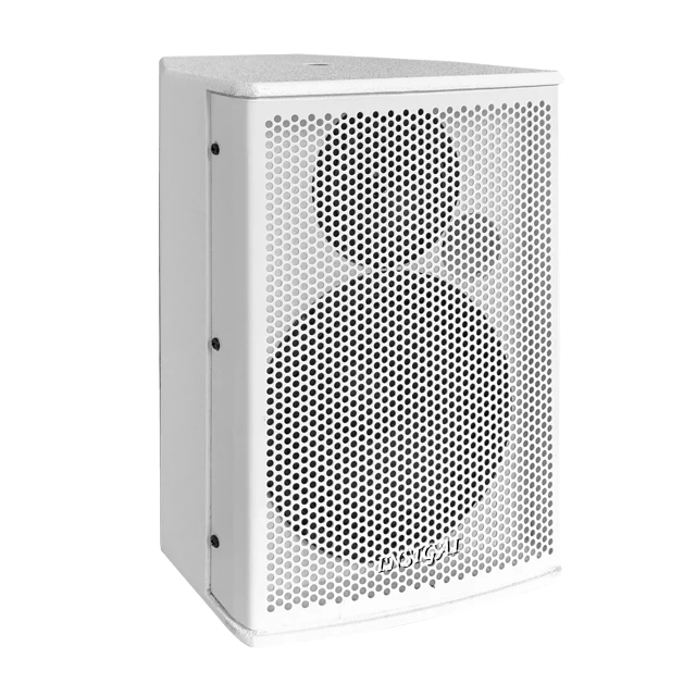 

Пассивные НЧ-динамики C380-8 дюймов для конференц-залов, профессиональное аудиооборудование