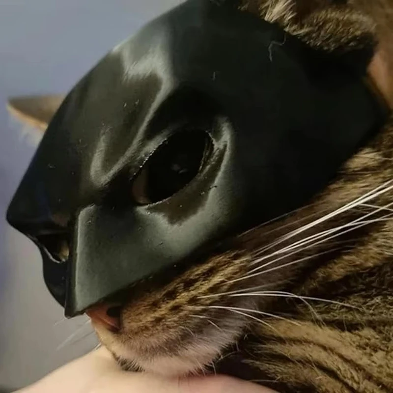 Black Bat Cat Mask Avenger Cat Face Cushion Bat Cosplay Hat Atmosphere Prop Matte Plastic Pet Mask Party Gift Cat Accessories