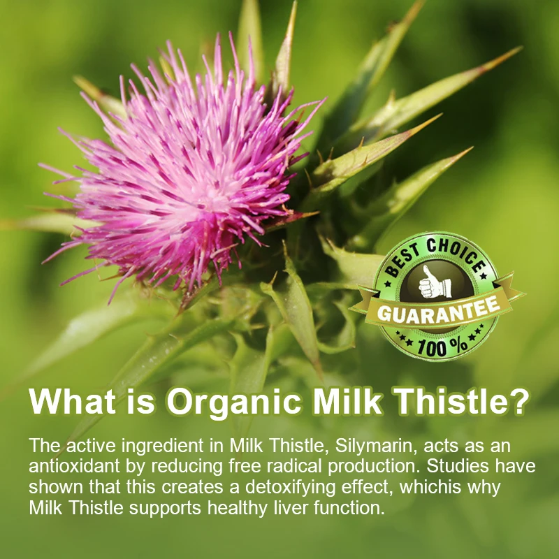 Капсулы для печени с растоплением молока 315 мг - способствуют энергетическим производству, здоровью печени, здоровья пищеварительной печени и укреплению иммунитета