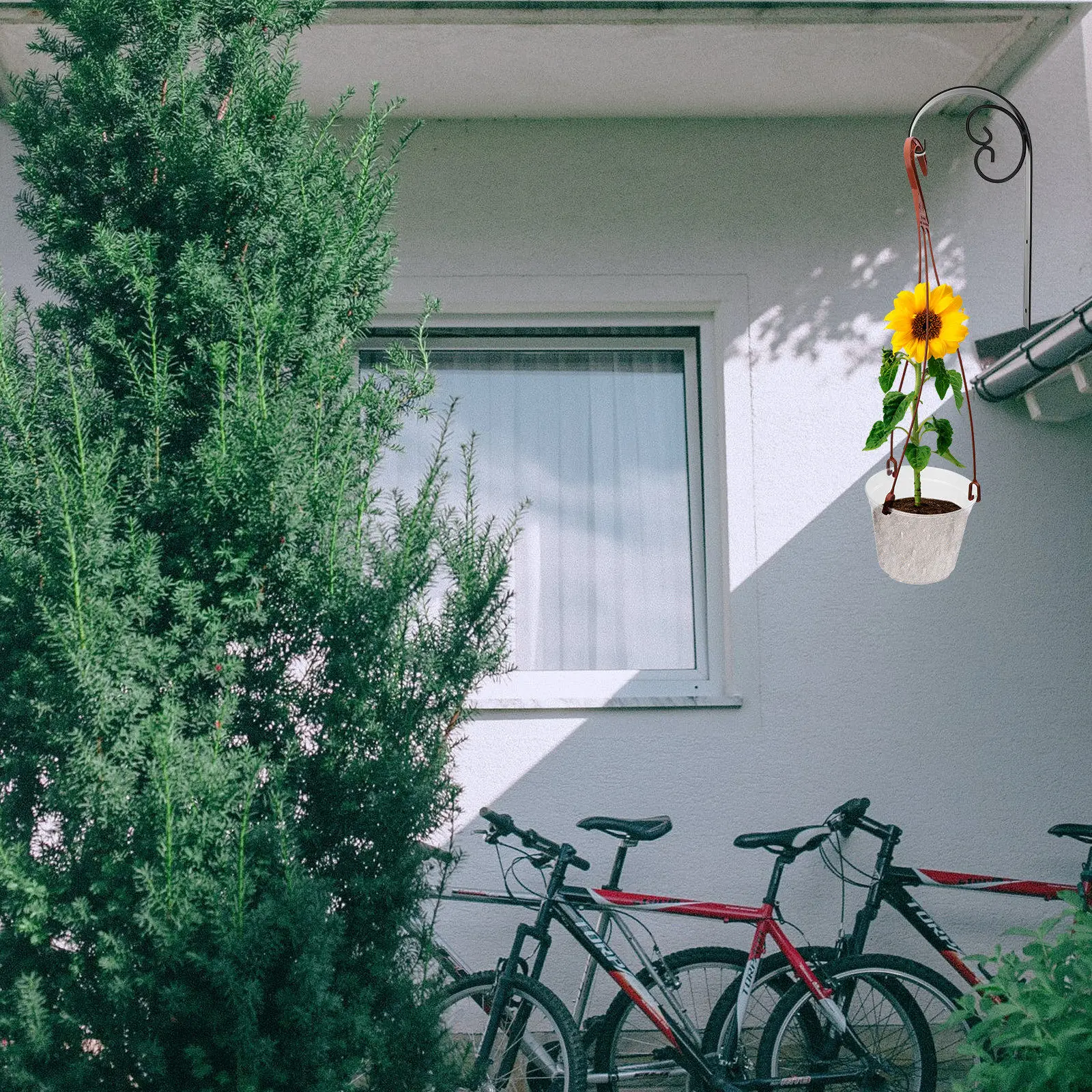 

5 комплектов прозрачных подвесных горшков из полипропилена для фаленопсисов, контейнеры для растений для балкона и сада, подвесные цветочные горшки